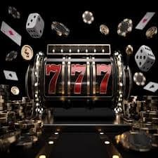 wm356